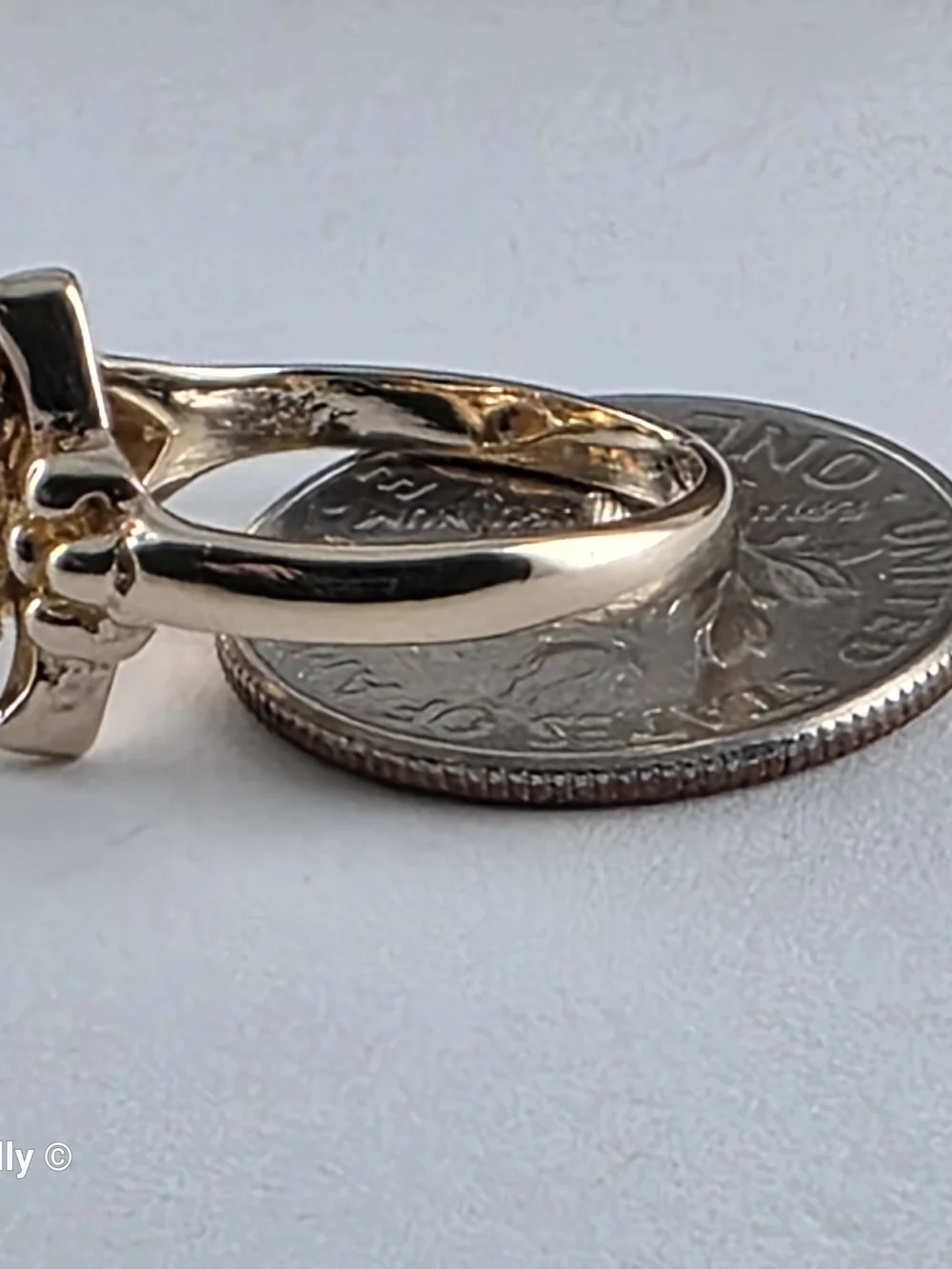 10K Yellow and Rose Gold Black Hills Leaves Ring Size 3, Solid Gold! 👌🎁